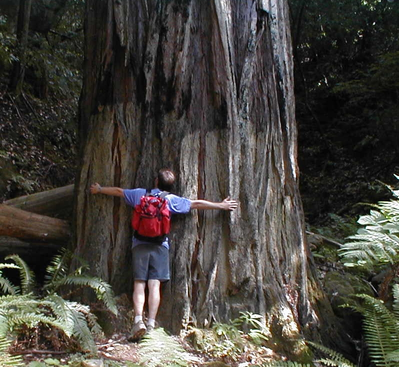 treehugger.jpg