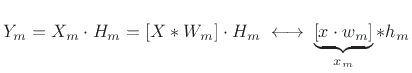 $\displaystyle Y_m = X_m \cdot H_m = [X*W_m] \cdot H_m \;\longleftrightarrow\; \underbrace{[x \cdot w_m]}_{x_m} * h_m$