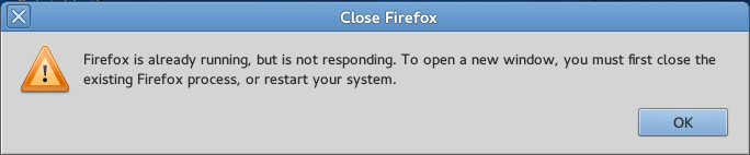 Firefox error.png