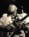 Stevie Ray Vaughan guitar.jpg