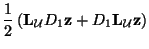 $\displaystyle \frac{1}{2}\left({\bf L}_{\mathcal{U}}D_{1}{\bf z}+ D_{1}{\bf L}_{\mathcal{U}}{\bf z}\right)$