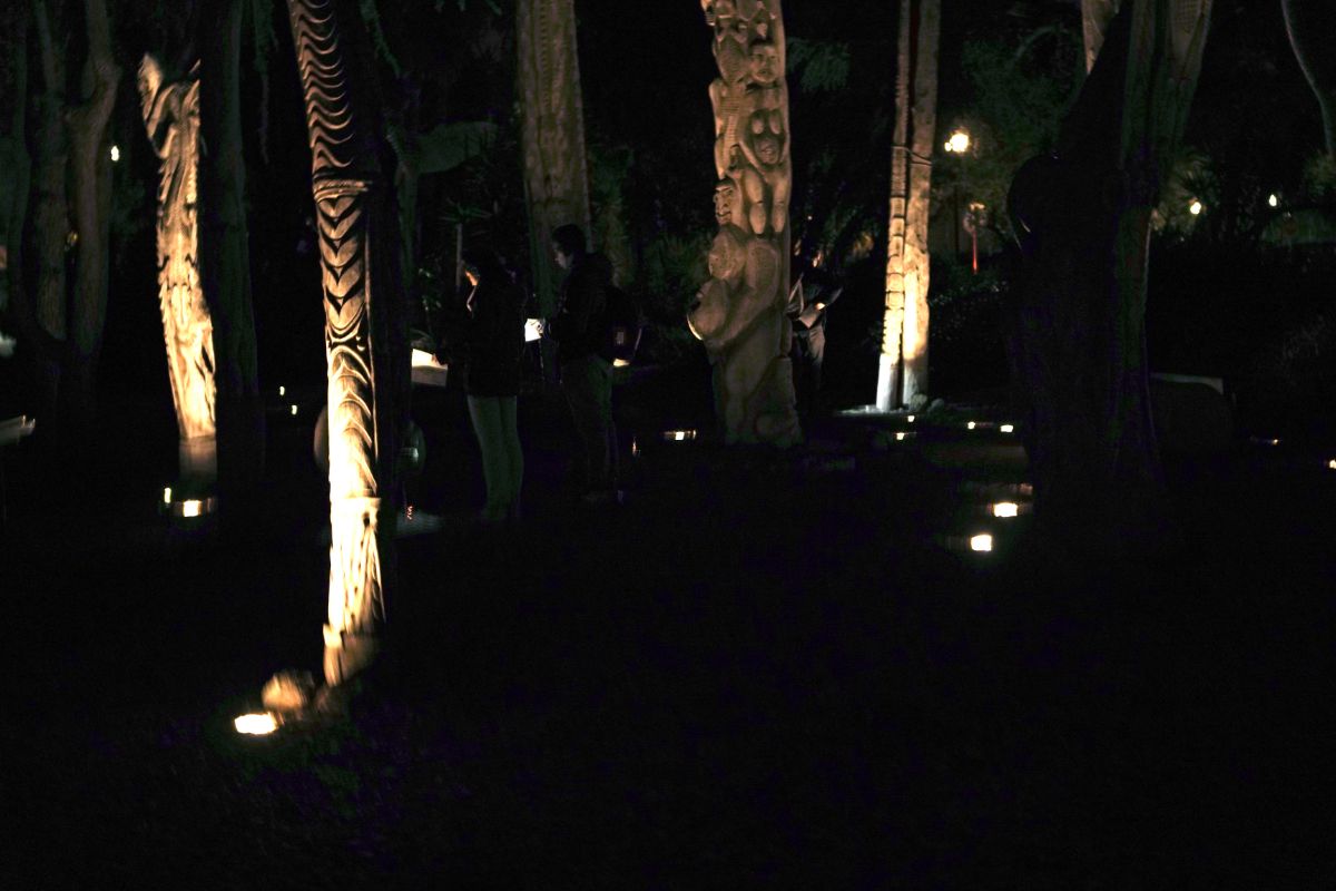 central area of the Papua New Guinea Sculpture Garden, two listeners standing amongst the array of tall wooden sculptures lit brightly against the night