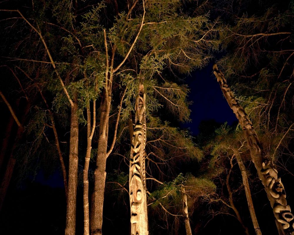 the twisting branches of pine trees intermingle with tall, leaning wooden sculptures, bright against the night sky