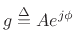 $\displaystyle g \isdef A e^{j\phi}
$