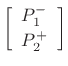 $\displaystyle \left[\begin{array}{c} P_1^{-} \\ [2pt] P_2^{+} \end{array}\right]$