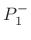 $ P_1^{-}, P_2^{-}$