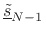 $ \underline{\tilde{s}}_{N-1}$