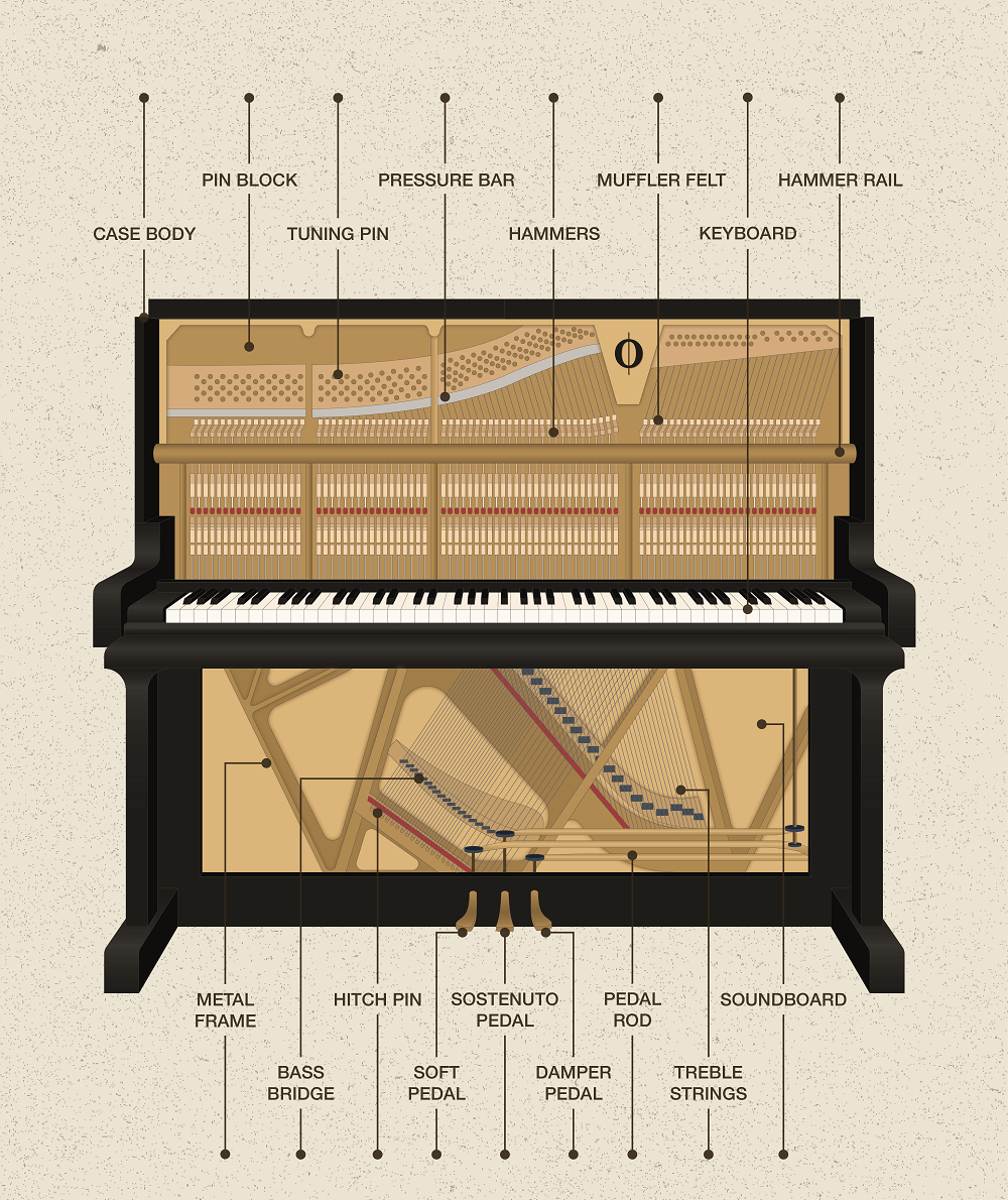 inner workings of a piano